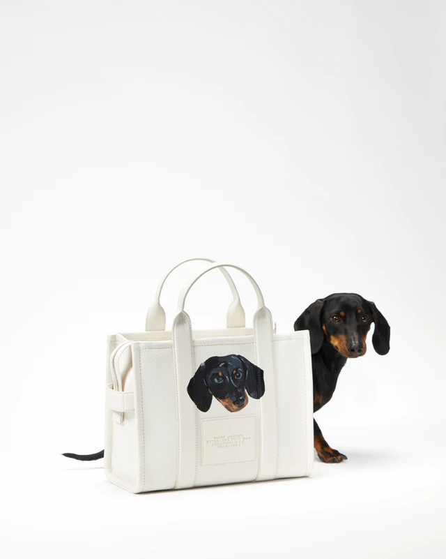 マーク ジェイコブスが贈る、愛犬との絆を描くイベント「BARK JACOBS」渋谷と銀座で開催