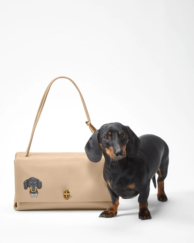 「BARK JACOBS」が表参道に登場、愛犬との絆を描く特別イベント開催