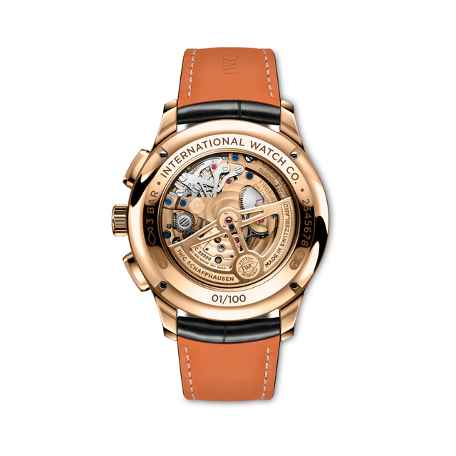 IWC シャフハウゼン 「ポルトギーゼ・トゥールビヨン・レトログラード・クロノグラフ」(Ref. IW394009)裏