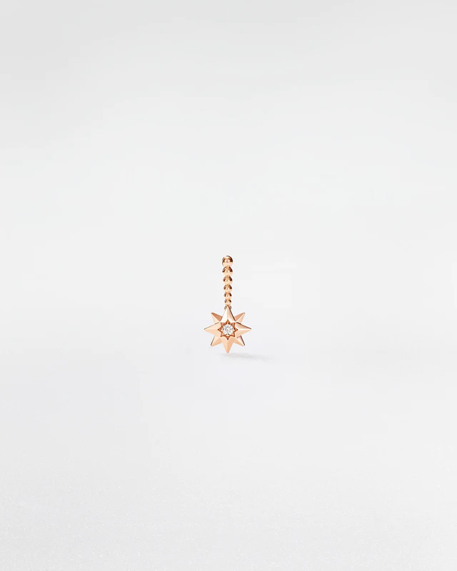  ディオールファインジュエリー「エトワール デ ヴァン」シングルピアス JRDV95260 PGxDIA