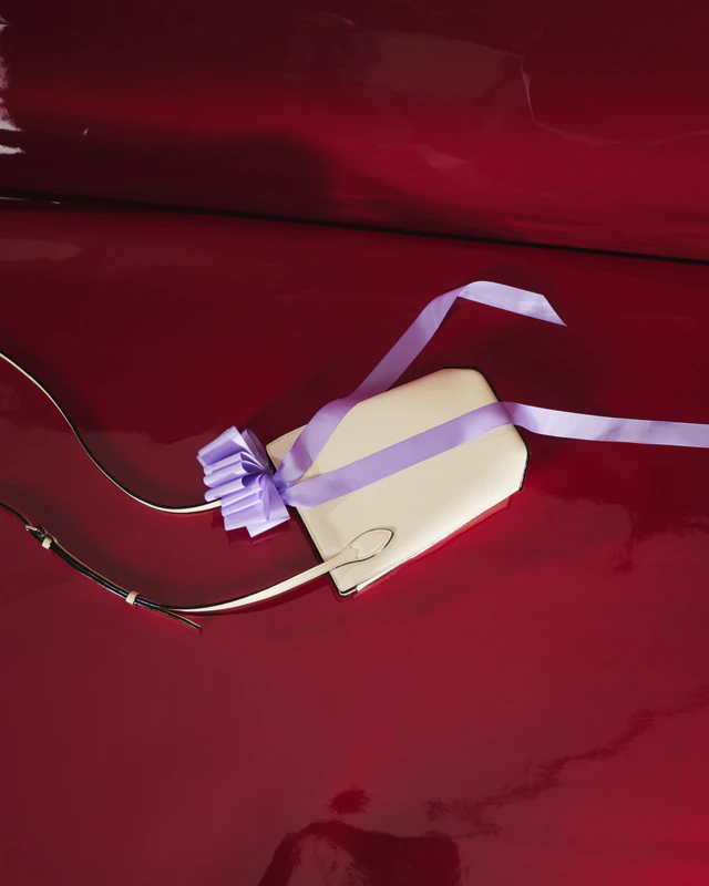 ヴァレクストラ ホリデーコレクション ヴィヴィ クロスボディ バッグ