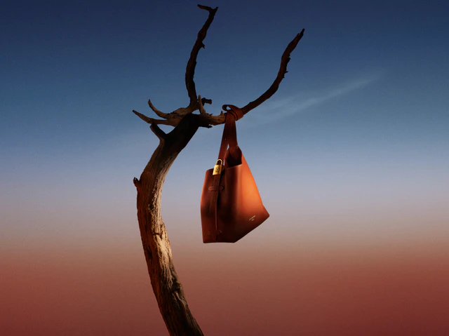 ルイ・ヴィトン：ロウキー·ホーボー PM カーフレザー