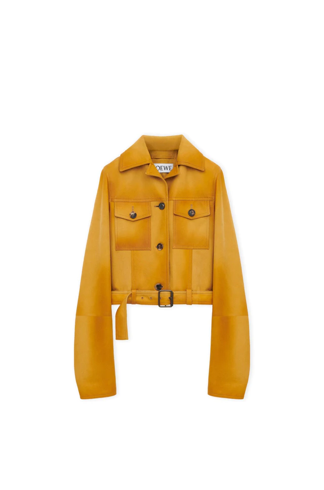 ロエベ クロップド ジャケット