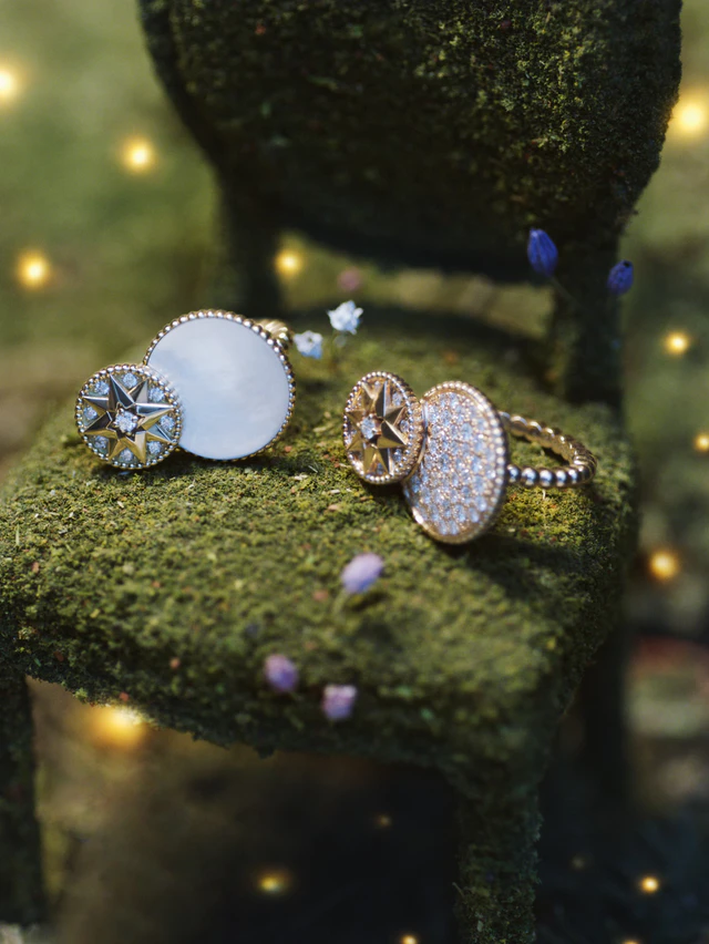 ディオール ファイン ジュエリー＆タイムピーシズ、ヴィクトワール・ドゥ・カステラーヌが描く小さな夜の庭園