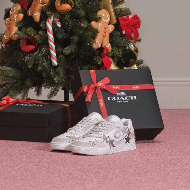 コーチのホリデーラインナップ解説、中島健人出演キャンペーンとTabby、New York Collectionの注目バッグとギフト提案