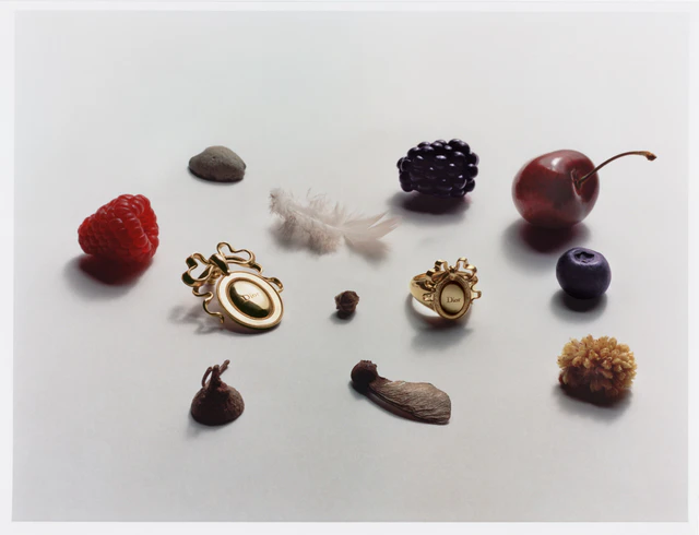 メダリオンチェアへのオマージュ、ディオール2026年春夏コレクションに宿るリボンと紋章の物語