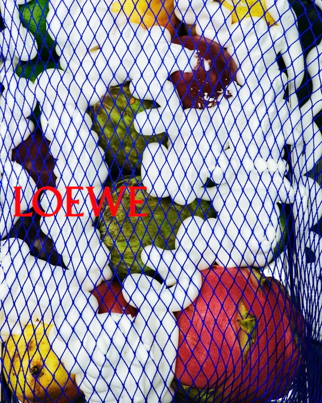 ロエベ2026春夏キャンペーン公開、ジャック・マッコローとラザロ・ヘルナンデスが描く新しいメゾンのエネルギー