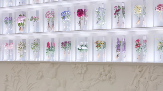 ディオール、代官山に誕生したディオール、バンブー、パビリオンの世界を体験する専用アプリ