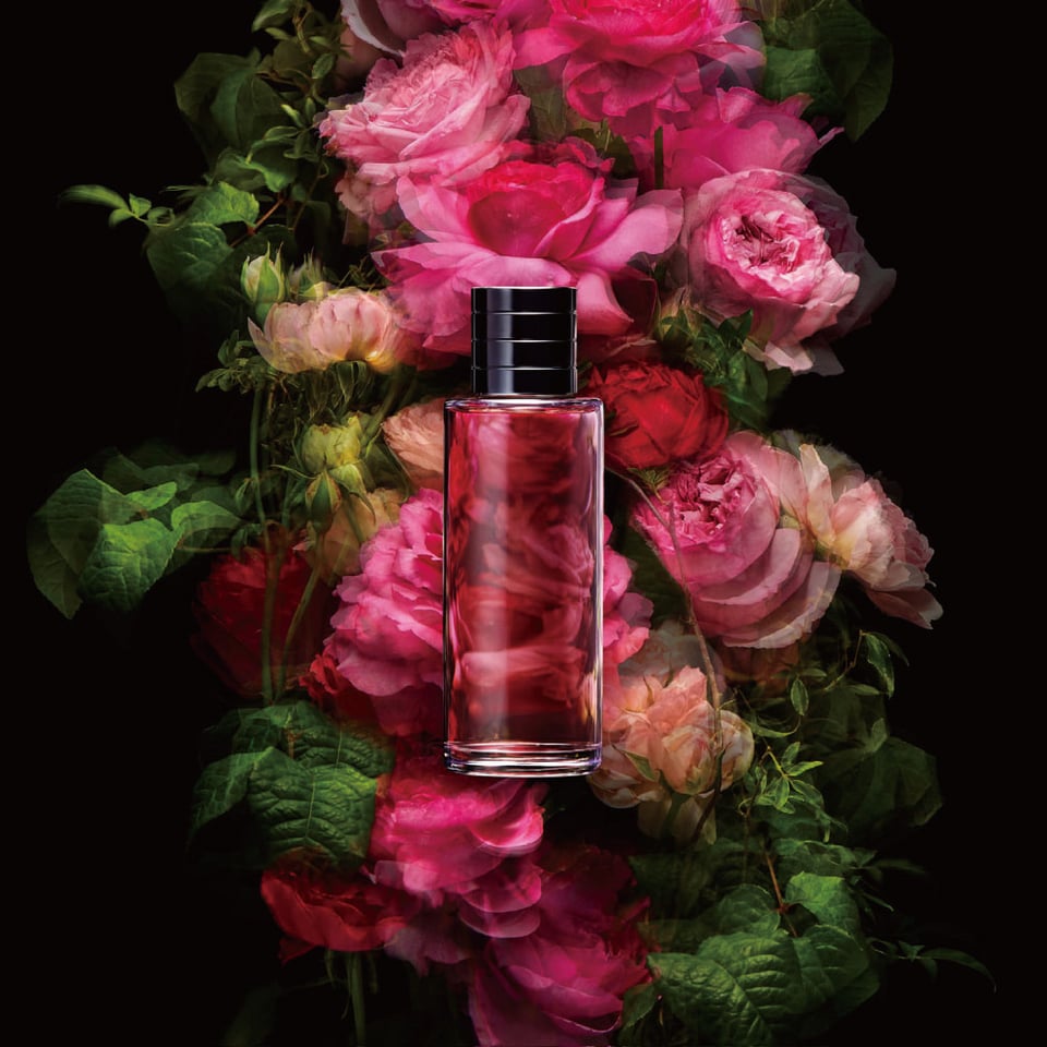 ディオール MAISON CHRISTIAN DIOR X AZUMA MAKOTO | Brand JOY