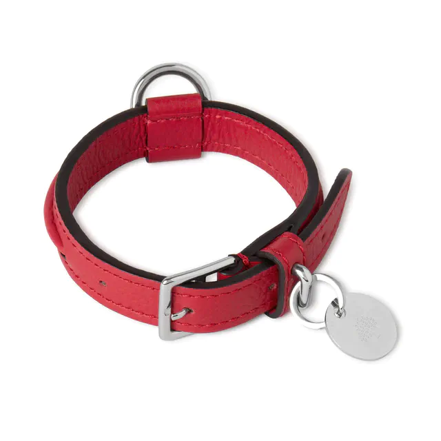 マルベリーが提案する新作ドッグコレクション、英国の自然と品格をまとう全8点