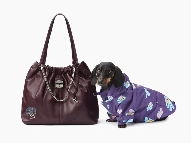 マーク ジェイコブスBARK JACOBS、ペットポートレートイベントとmaxboneコラボのリーシュやレインコートが数量限定で登場